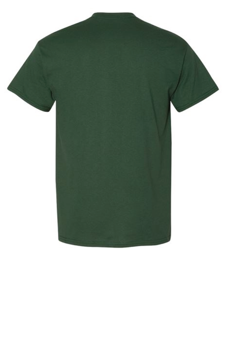 FOREST THEATRE- Gildan T-Shirt 8000 DryBlend 50/50